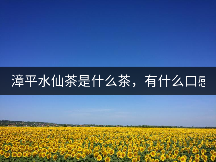 漳平水仙茶是什么茶，有什么口感特點(diǎn)！