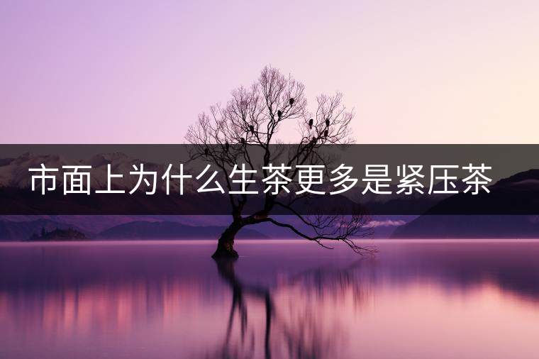 市面上為什么生茶更多是緊壓茶而非散茶？