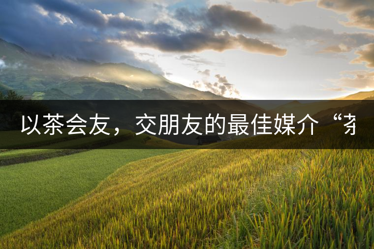 以茶會(huì)友，交朋友的最佳媒介“茶”！