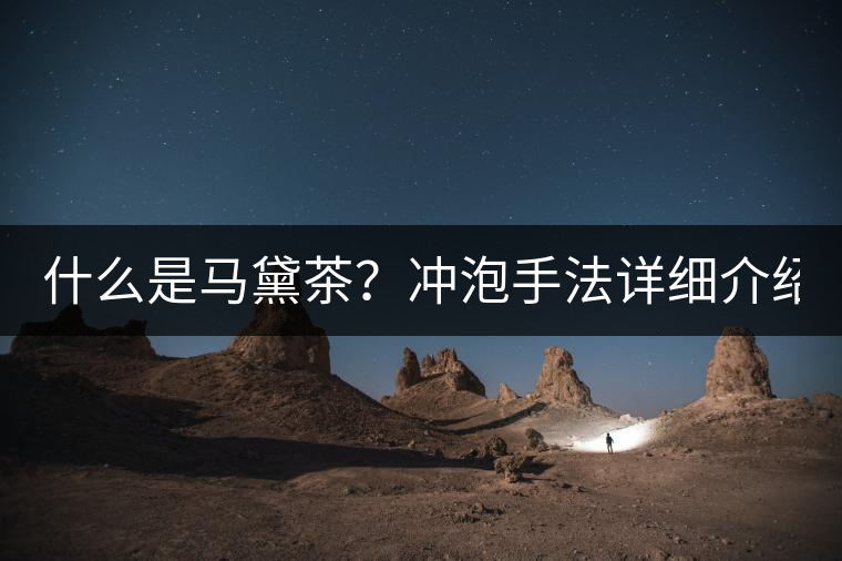 什么是馬黛茶？沖泡手法詳細介紹！