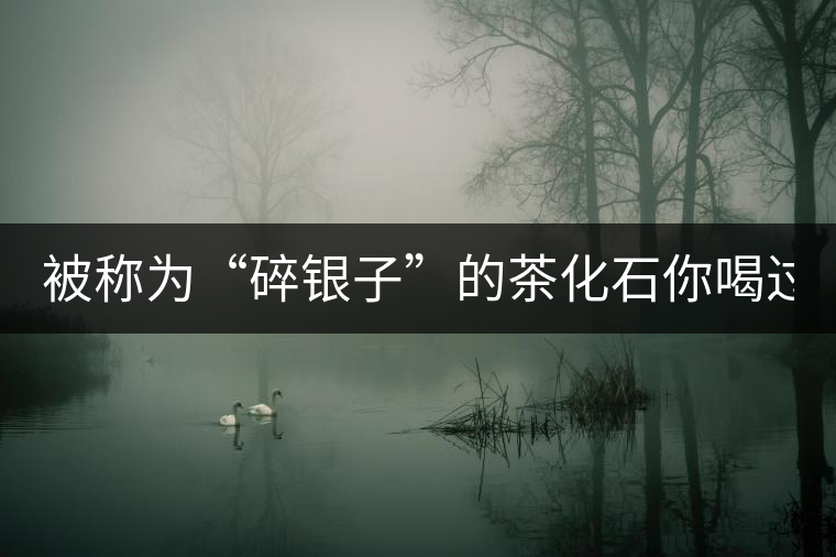 被稱為“碎銀子”的茶化石你喝過嗎？