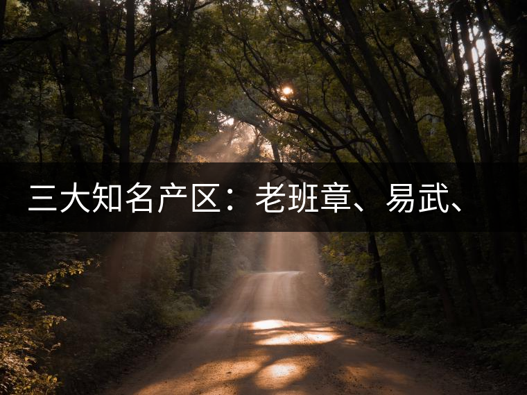 三大知名產(chǎn)區(qū)：老班章、易武、景邁三大茶系都有哪些特點(diǎn)！