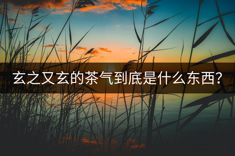 玄之又玄的茶氣到底是什么東西？