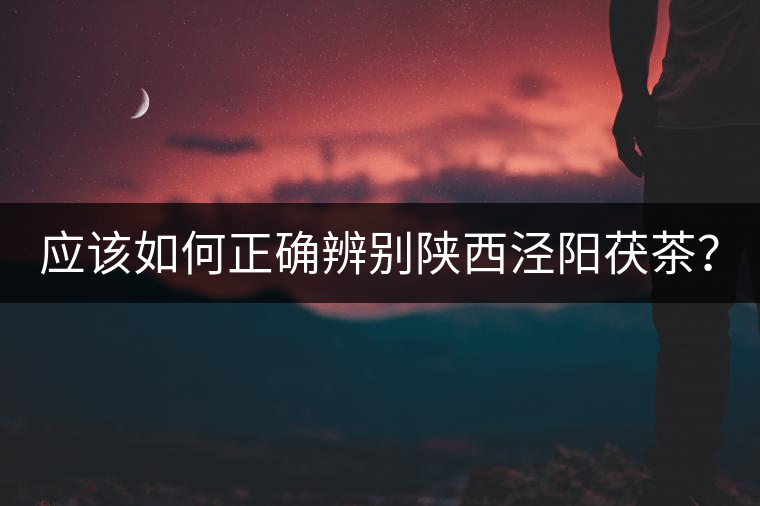 應(yīng)該如何正確辨別陜西涇陽茯茶？