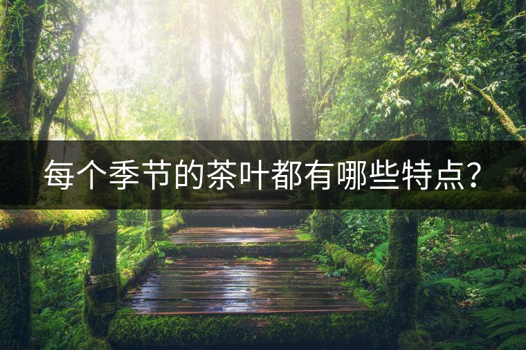 每個季節(jié)的茶葉都有哪些特點？