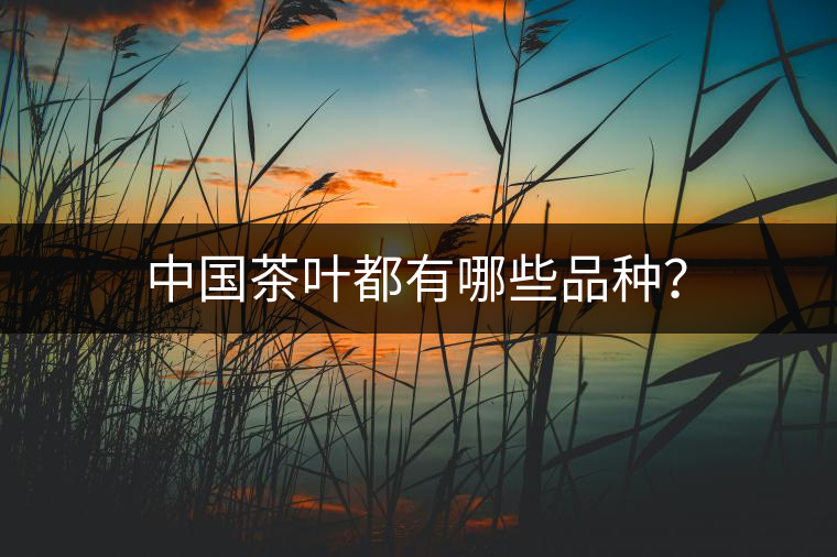 中國(guó)茶葉都有哪些品種？