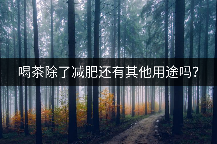 喝茶除了減肥還有其他用途嗎？