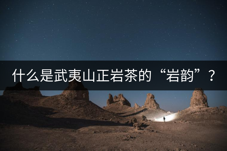 什么是武夷山正巖茶的“巖韻”？