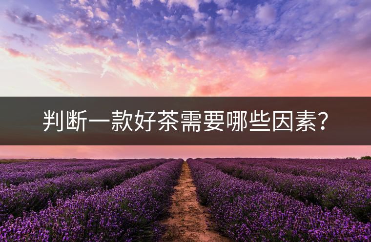 判斷一款好茶需要哪些因素？