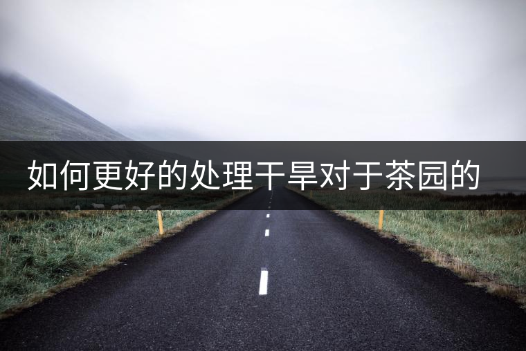 如何更好的處理干旱對于茶園的影響？