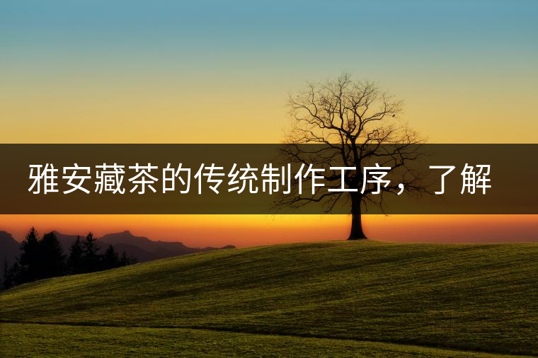 雅安藏茶的傳統(tǒng)制作工序，了解了傳統(tǒng)技藝才能更好的了解茶品！