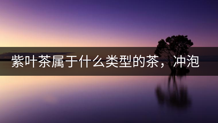 紫葉茶屬于什么類型的茶，沖泡需要注意什么？