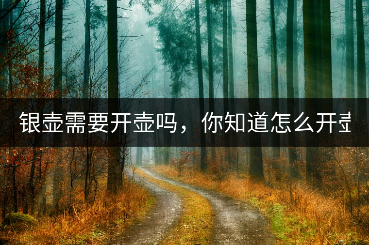銀壺需要開壺嗎，你知道怎么開壺？