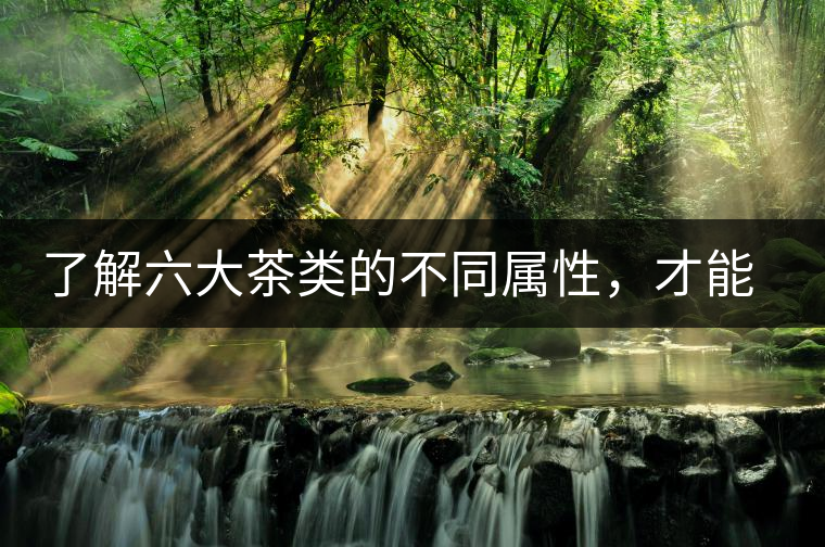 了解六大茶類的不同屬性，才能更好的選擇品飲！