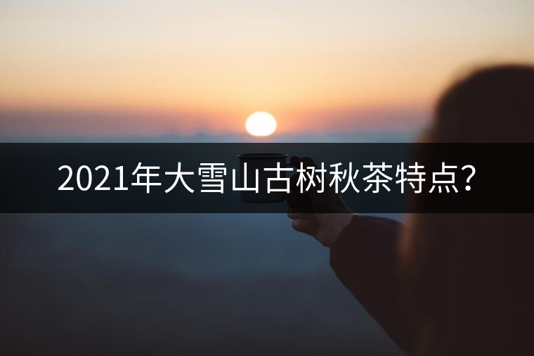 2021年大雪山古樹(shù)秋茶特點(diǎn)？