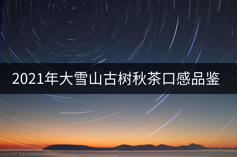 2021年大雪山古樹秋茶口感品鑒？