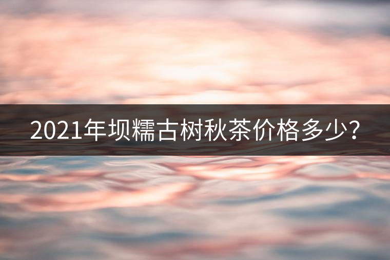 2021年壩糯古樹秋茶價格多少？