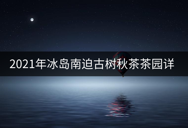2021年冰島南迫古樹秋茶茶園詳解！