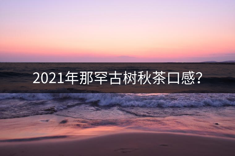 2021年那罕古樹(shù)秋茶口感？