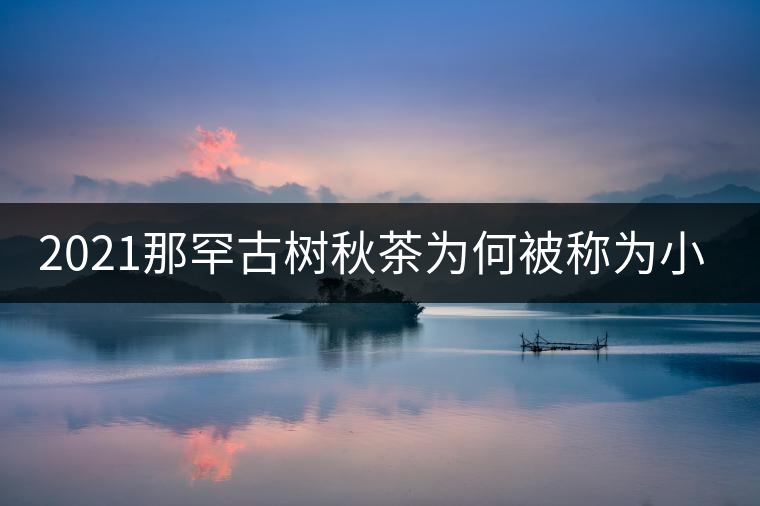 2021那罕古樹(shù)秋茶為何被稱(chēng)為小昔歸？