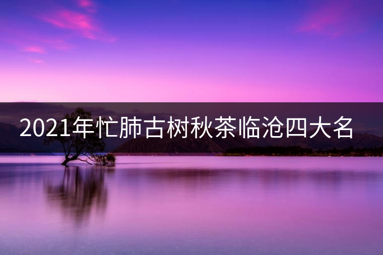2021年忙肺古樹秋茶臨滄四大名茶之一！