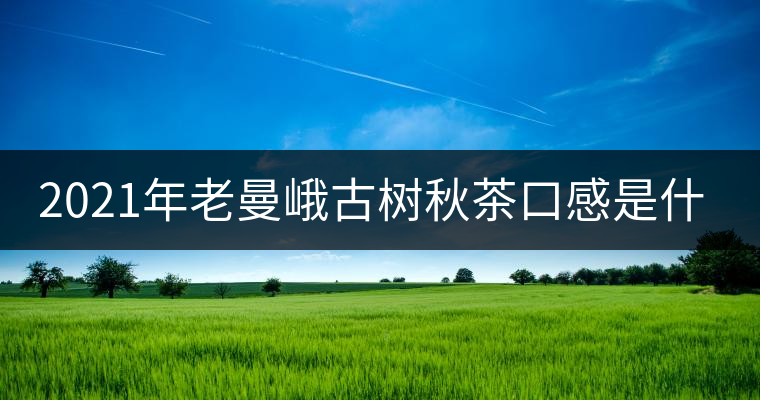 2021年老曼峨古樹秋茶口感是什么？