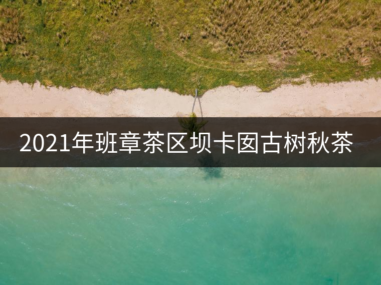 2021年班章茶區(qū)壩卡囡古樹秋茶多少錢一公斤？