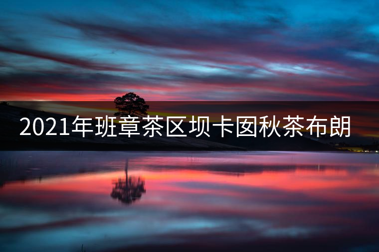 2021年班章茶區(qū)壩卡囡秋茶布朗茶系中的甜茶類！