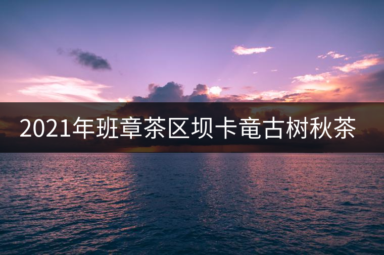 2021年班章茶區(qū)壩卡竜古樹秋茶多少錢一公斤？