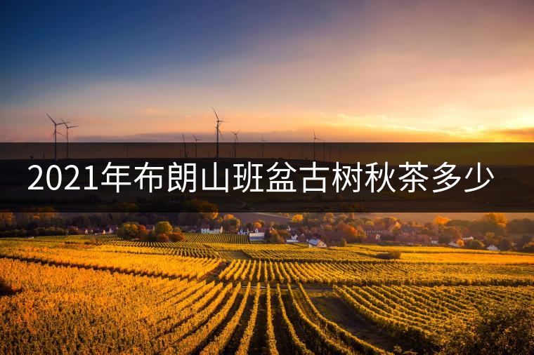 2021年布朗山班盆古樹(shù)秋茶多少錢(qián)一公斤？