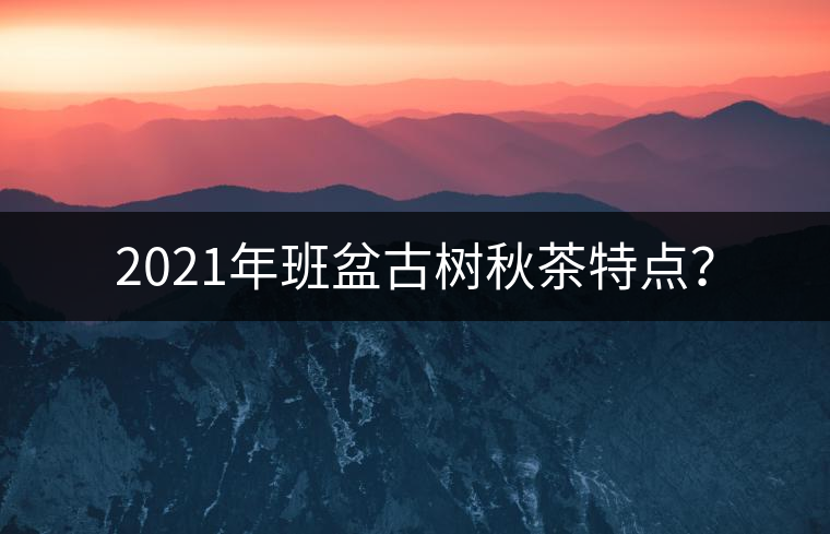 2021年班盆古樹秋茶特點(diǎn)？