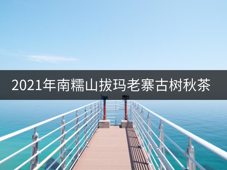 2021年南糯山拔瑪老寨古樹秋茶特點(diǎn)是什么？