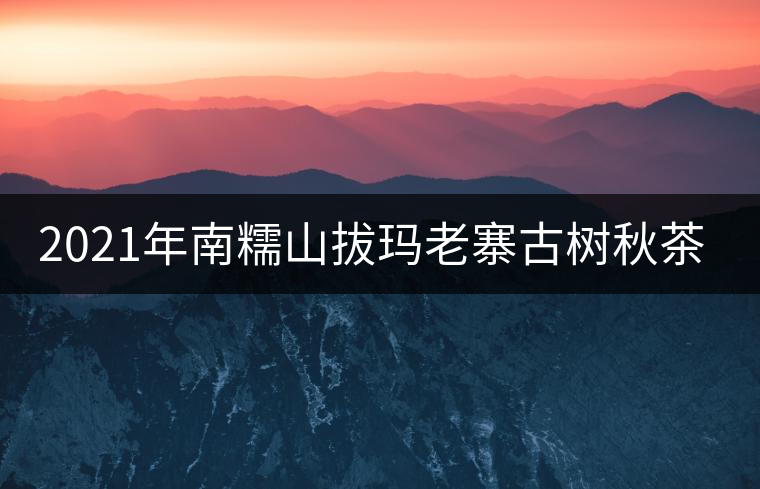 2021年南糯山拔瑪老寨古樹秋茶價格？