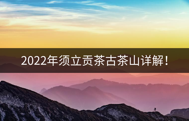 2022年須立貢茶古茶山詳解！