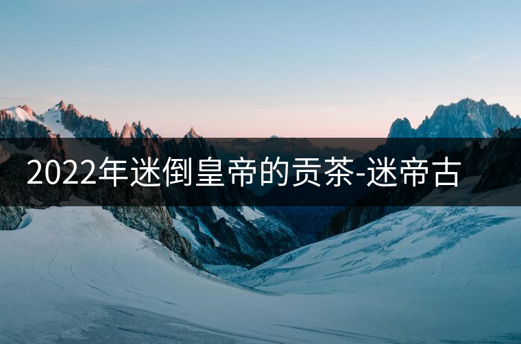 2022年迷倒皇帝的貢茶-迷帝古樹春茶特點？