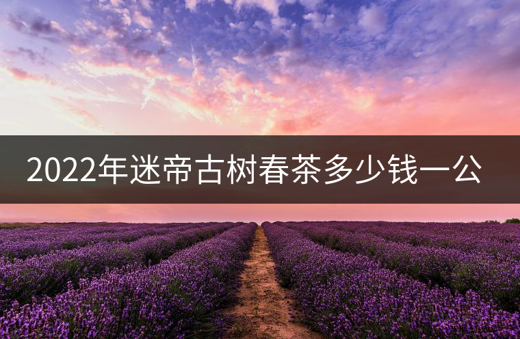 2022年迷帝古樹春茶多少錢一公斤？