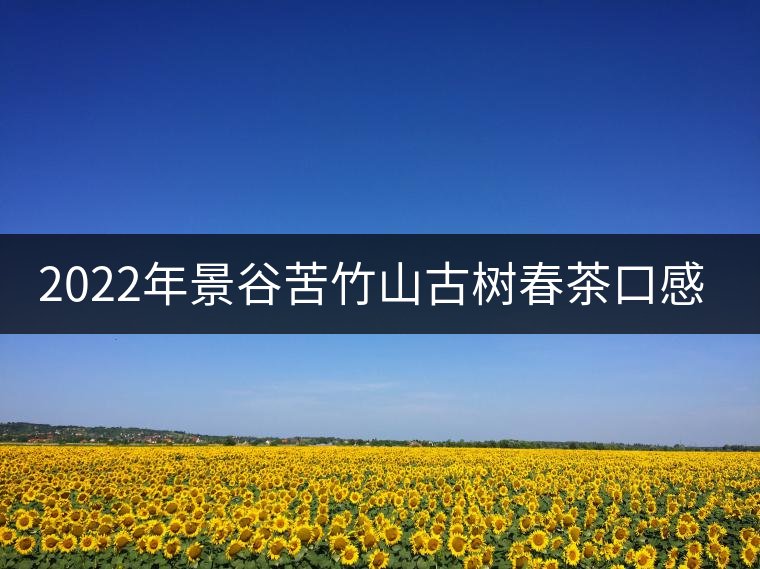 2022年景谷苦竹山古樹(shù)春茶口感？