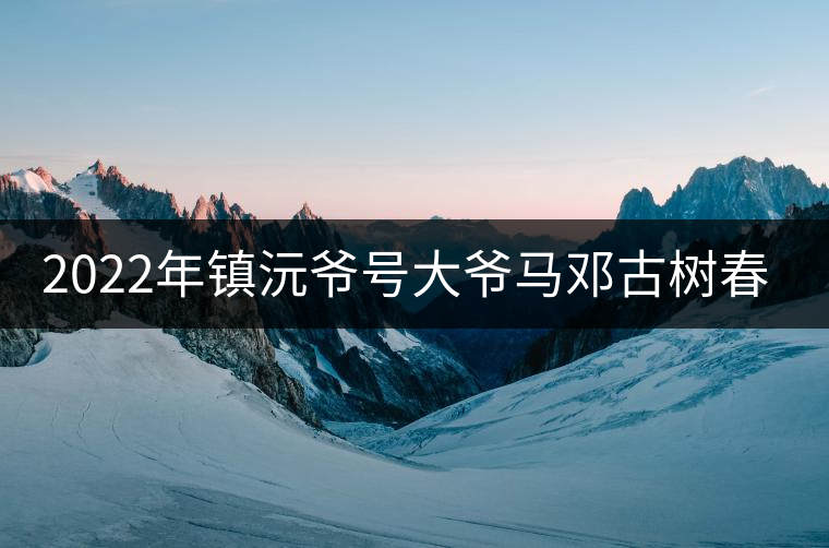 2022年鎮(zhèn)沅爺號(hào)大爺馬鄧古樹春茶特點(diǎn)？
