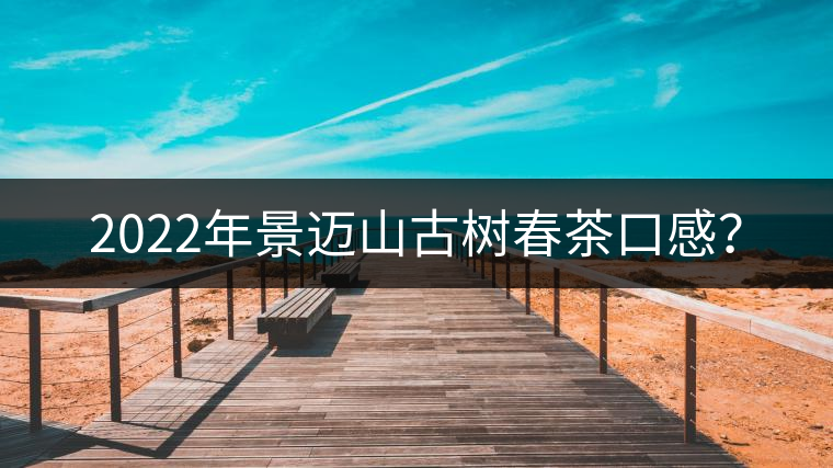 2022年景邁山古樹春茶口感？