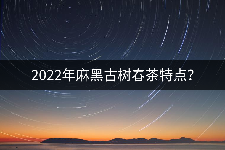 2022年麻黑古樹春茶特點？