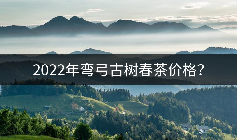 2022年彎弓古樹(shù)春茶價(jià)格？