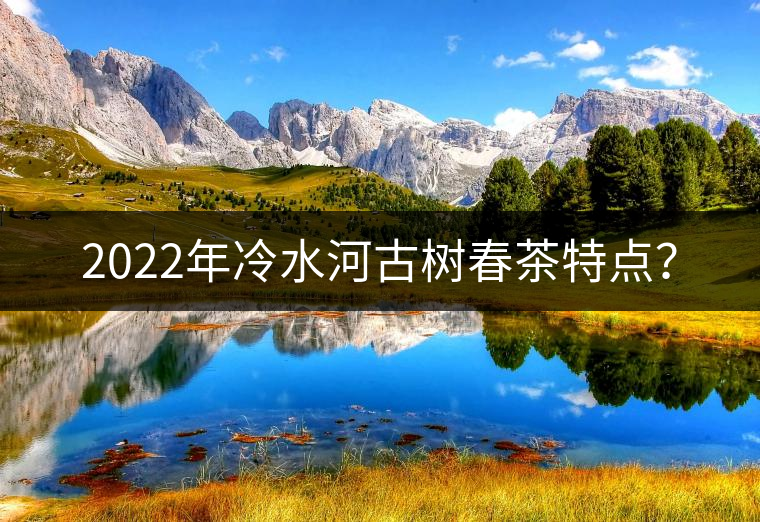 2022年冷水河古樹春茶特點(diǎn)？