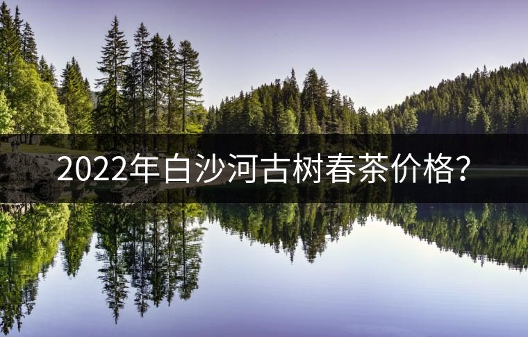 2022年白沙河古樹春茶價(jià)格？