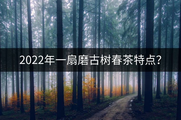 2022年一扇磨古樹春茶特點(diǎn)? 2022年一扇磨古樹春茶特點(diǎn)?
