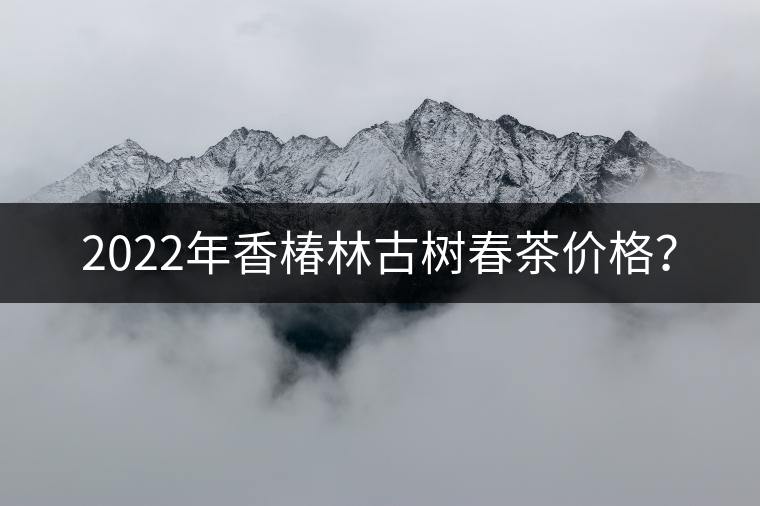 2022年香椿林古樹春茶價格？