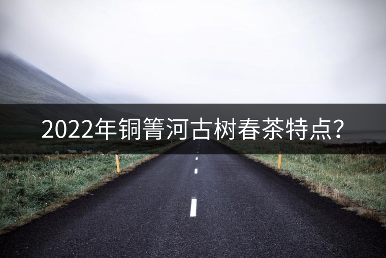 2022年銅箐河古樹春茶特點(diǎn)？