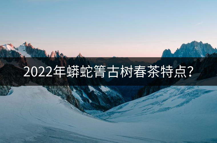 2022年蟒蛇箐古樹春茶特點(diǎn)？