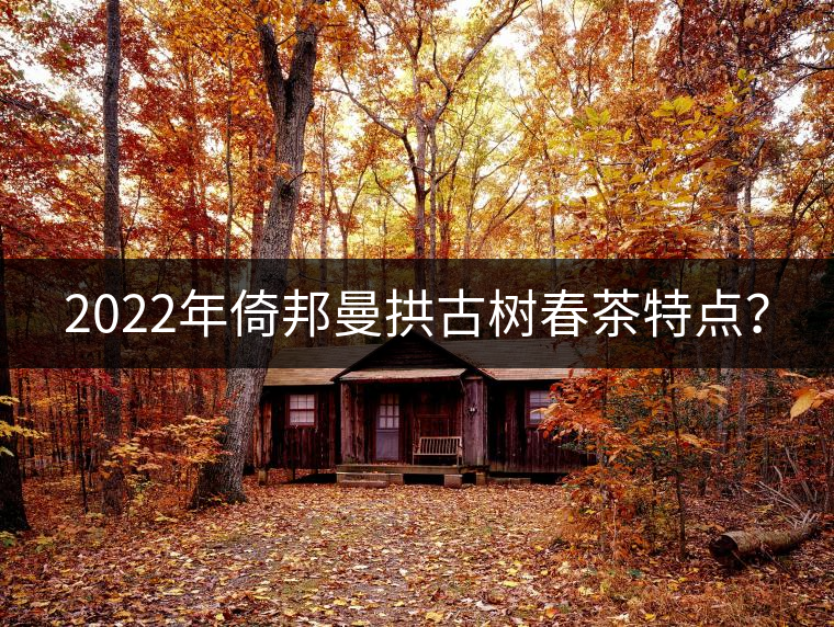 2022年倚邦曼拱古樹春茶特點(diǎn)? 2022年倚邦曼拱古樹春茶特點(diǎn)?