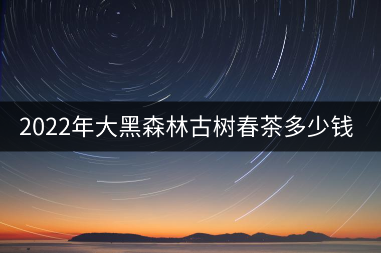 2022年大黑森林古樹春茶多少錢一公斤？
