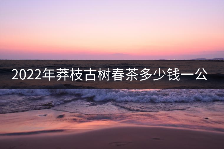 2022年莽枝古樹春茶多少錢一公斤？